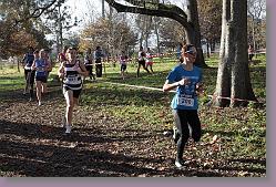 Begles 15.12.13 01 732 * 679 x 453 * (218KB)